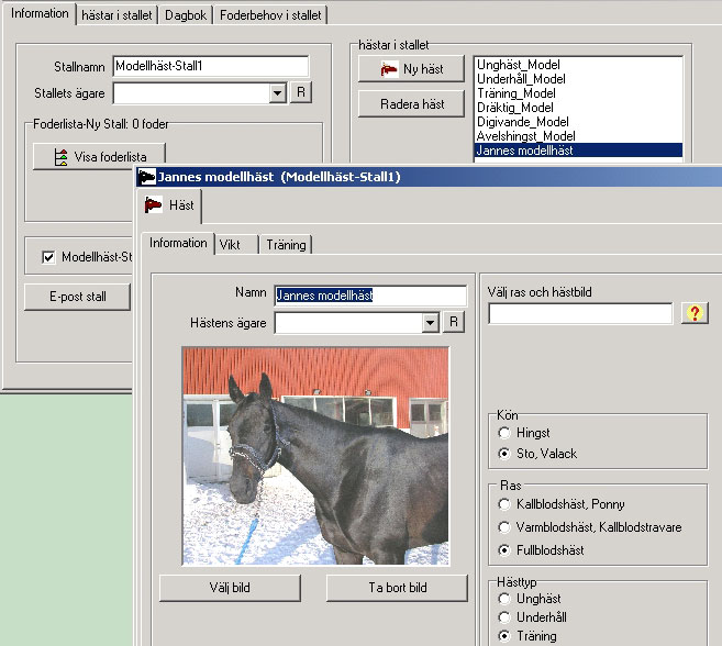 46-184 modellhastjannes